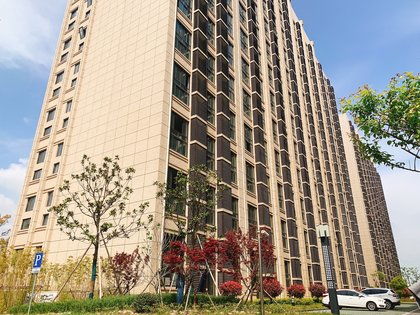 濱海之星優(yōu)點 不足,濱海之星怎么樣,濱海之星周邊房產(chǎn)中介經(jīng)紀人評價 上海安居客