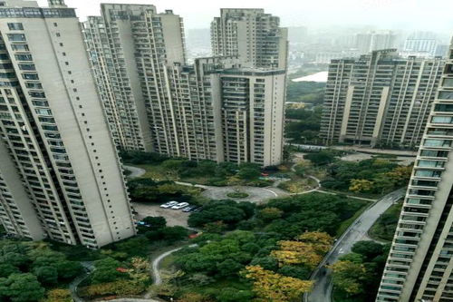 上海灘大寧城 公寓住宅 優(yōu)點 不足,上海灘大寧城 公寓住宅 怎么樣,上海灘大寧城 公寓住宅 周邊房產(chǎn)中介經(jīng)紀人評價