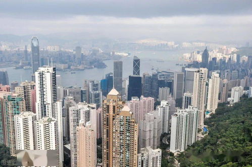 掌握以下幾點(diǎn),上海落戶變簡(jiǎn)單 問題