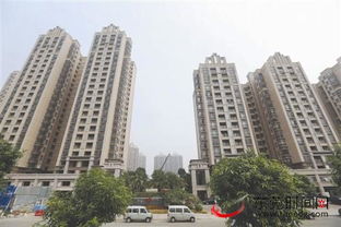 東莞日報(bào)多媒體數(shù)字報(bào)刊平臺_東莞時間網(wǎng)