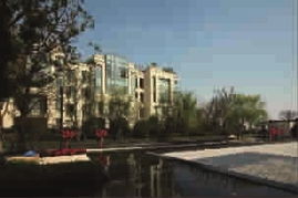 新民晚報數字報