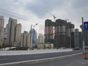 長寧88金廷 上海長寧88金廷配套實景圖,樣板間,效果圖,戶型圖 上海網(wǎng)易房產(chǎn)